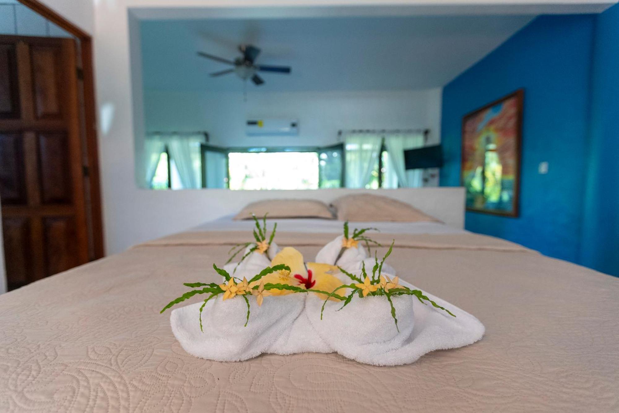 Condiminium Villas Mymosa Vườn quốc gia Vườn quốc gia Manuel Antonio Ngoại thất bức ảnh