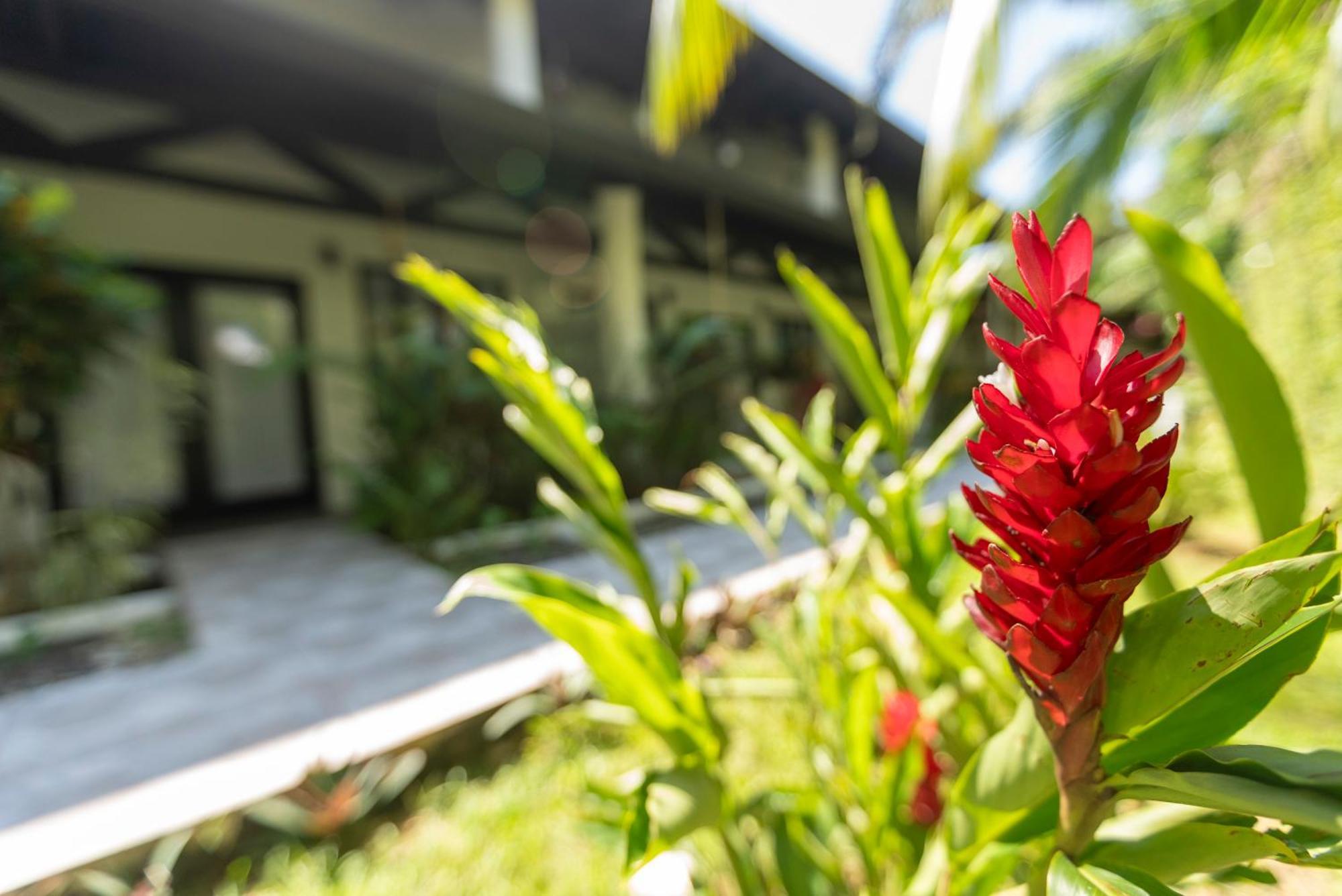 Condiminium Villas Mymosa Vườn quốc gia Vườn quốc gia Manuel Antonio Ngoại thất bức ảnh